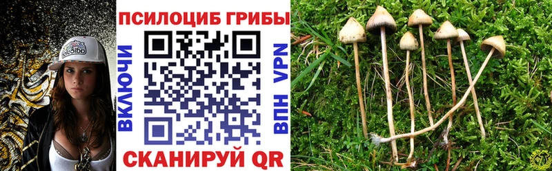 kraken ссылки  Кириши  Галлюциногенные грибы Magic Shrooms  хочу  