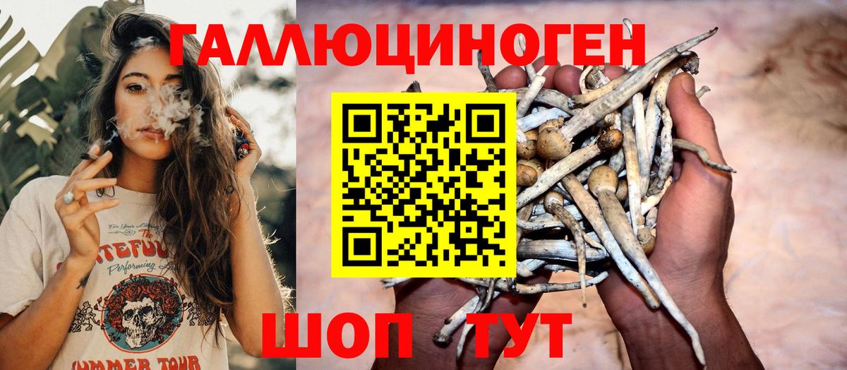 Кириши  Псилоцибиновые грибы ЛСД  Вход с VPN 